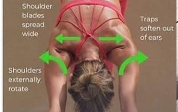 Yoga Poses Health Tips