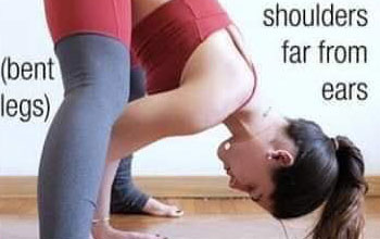 Yoga Poses Health Tips
