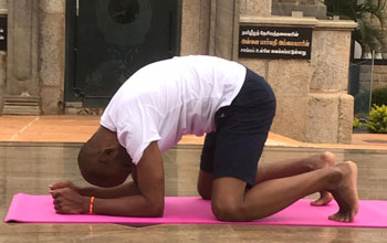 Yoga Poses Asanas