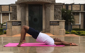 Yoga Poses Asanas