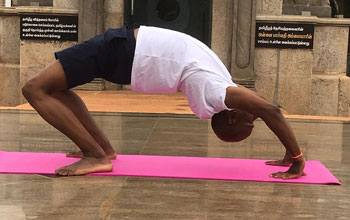Yoga Poses Asanas