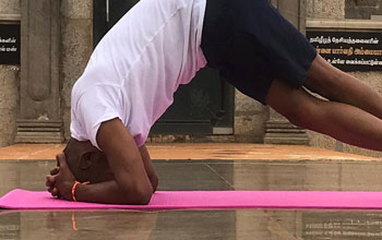 Yoga Poses Asanas